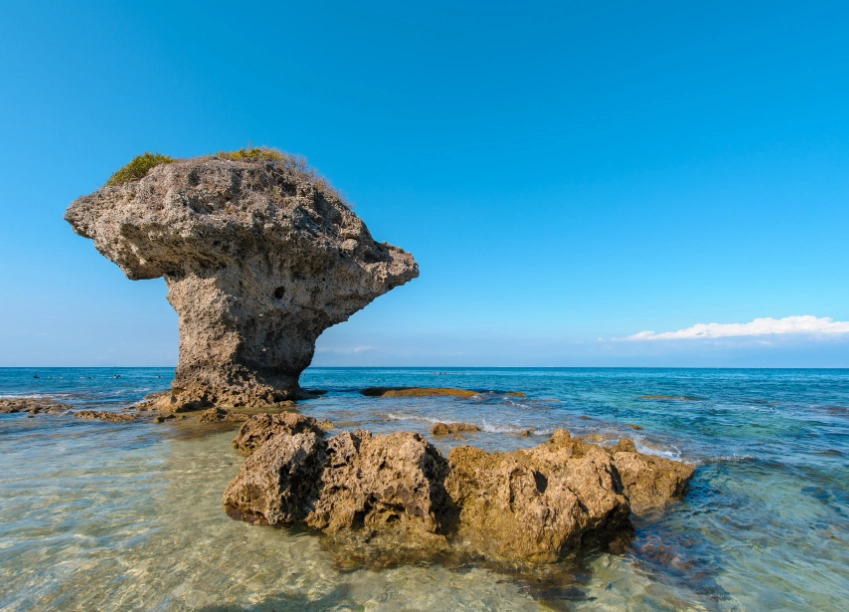 小琉球海龜 小琉球海龜