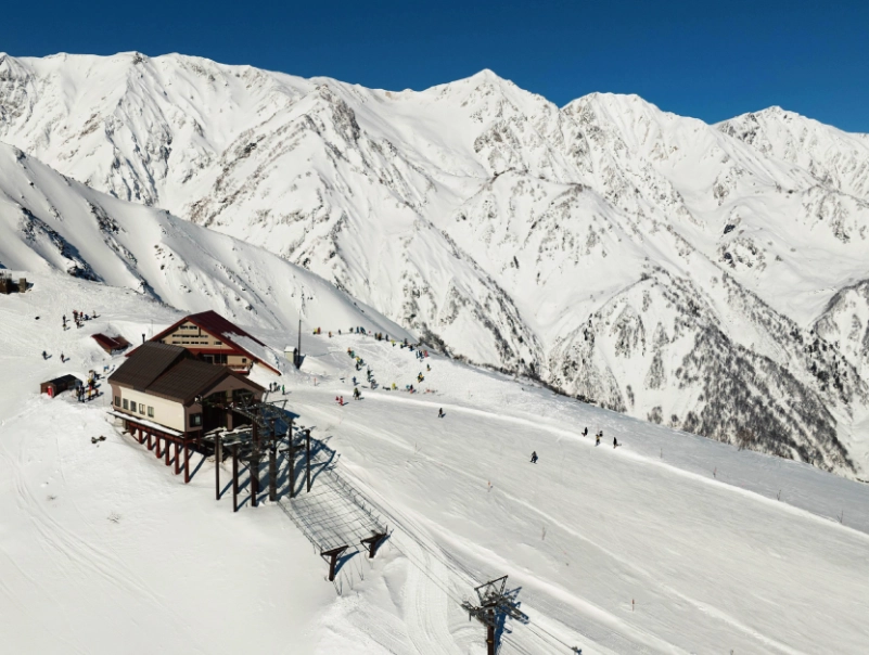 長野滑雪場推薦