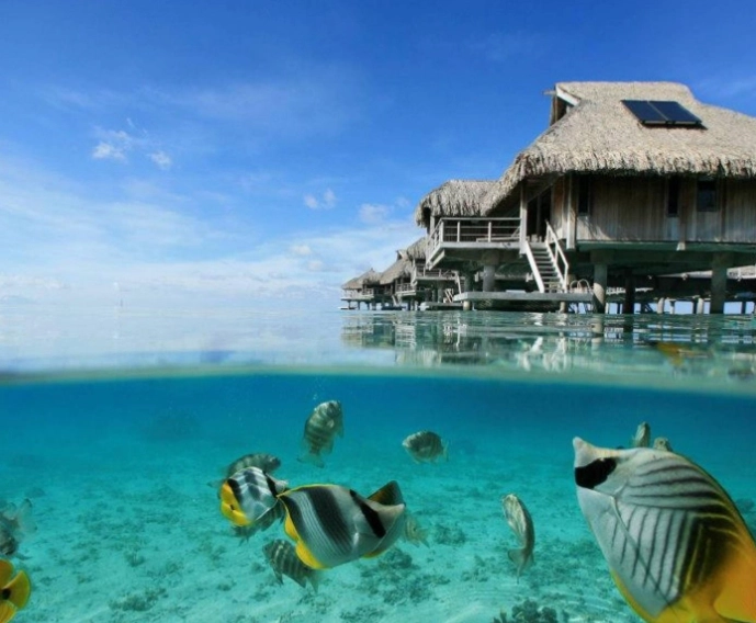 馬爾地夫蜜月 馬爾地夫蜜月