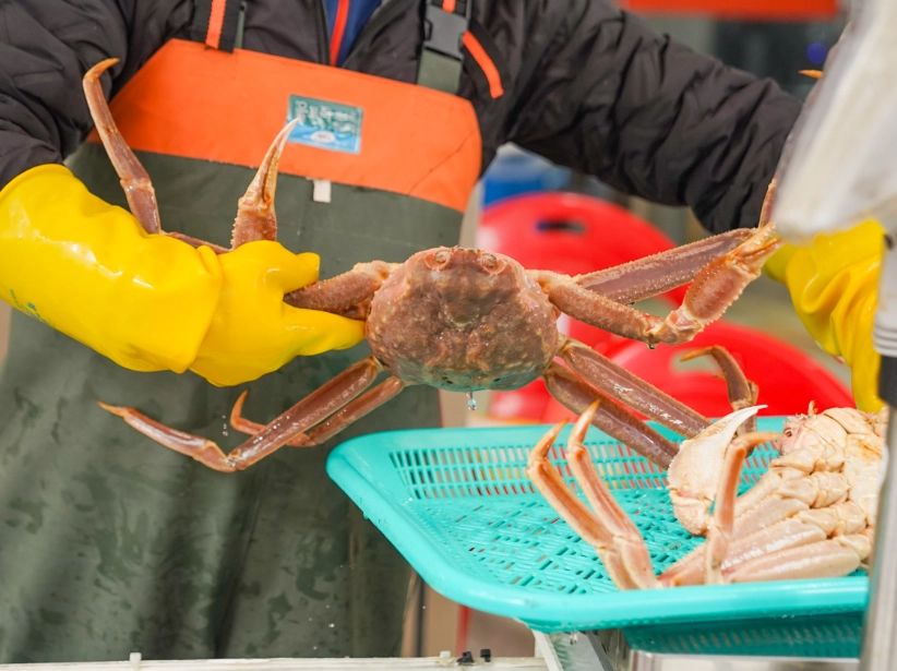 釜山8天行程 釜山8天行程