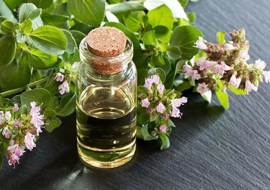 香港腳 天然療法 香港腳 天然療法