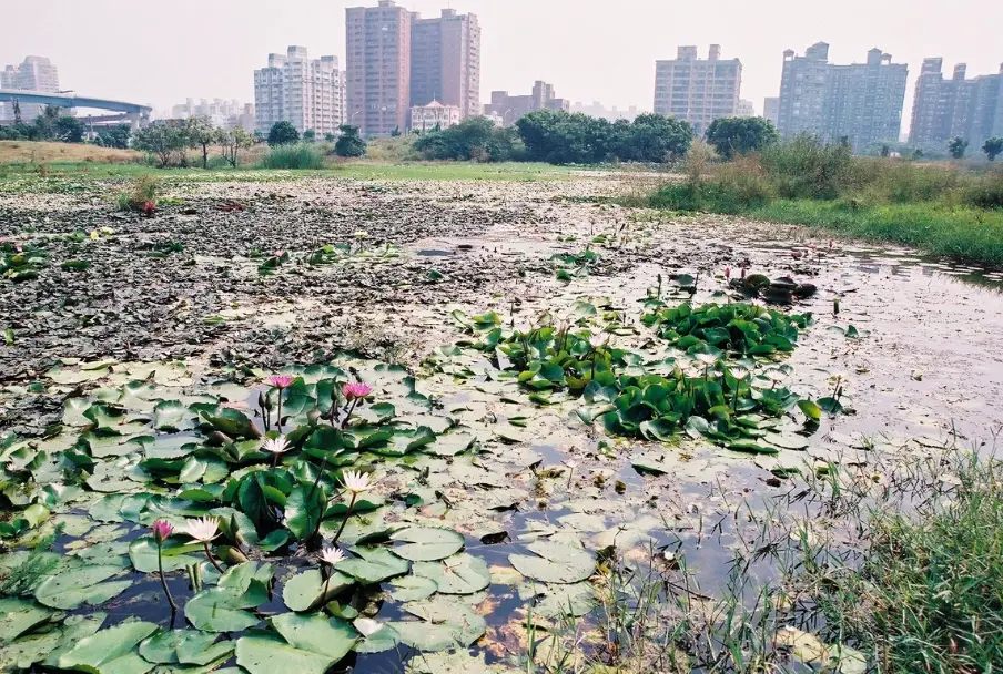 高雄左營景點 高雄左營景點