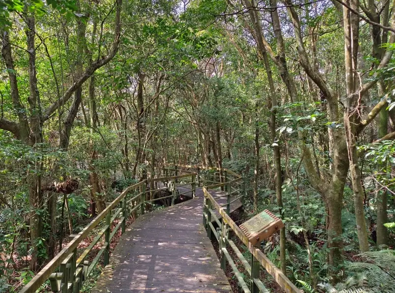 台北輕鬆健行 台北輕鬆健行