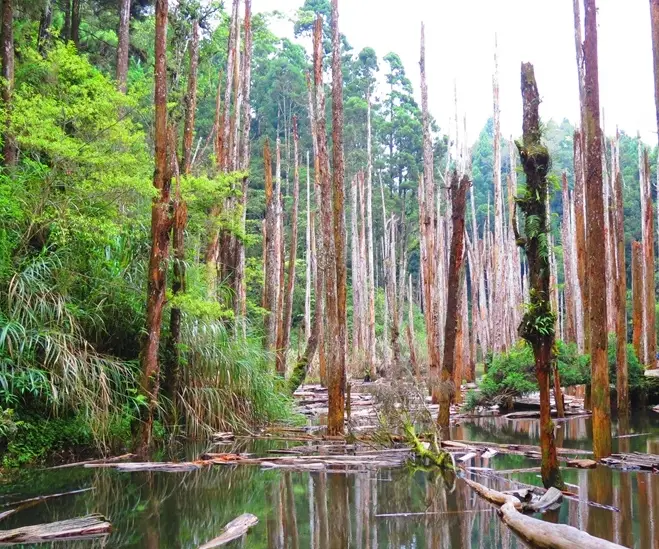 台灣一個人旅行 台灣一個人旅行