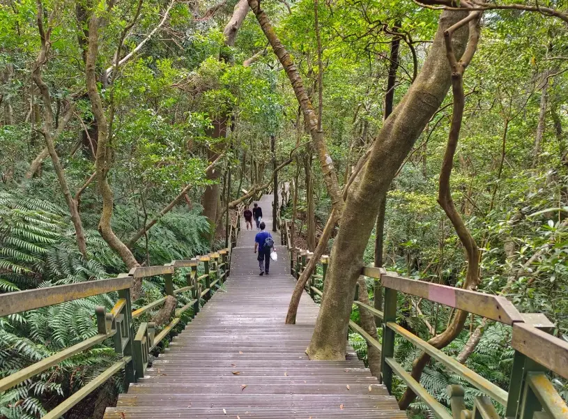 台北輕鬆健行 台北輕鬆健行