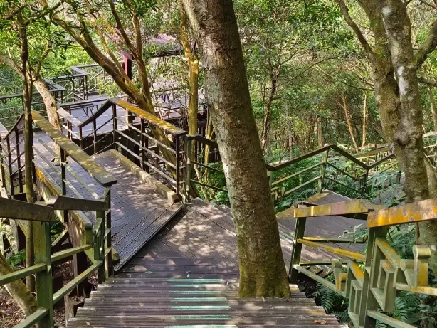 內湖親山步道 內湖親山步道