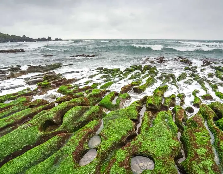 台灣一個人旅行 台灣一個人旅行