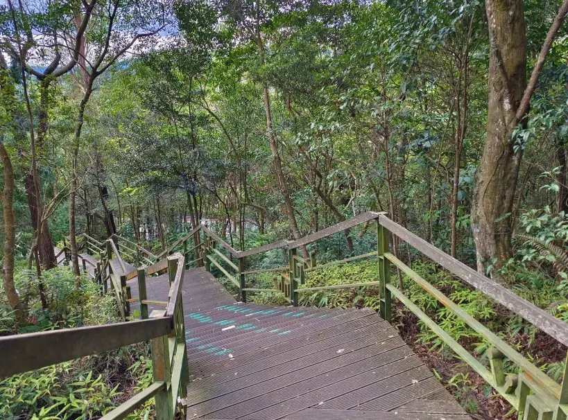 大崙頭山步道：台北內湖新手友善的輕鬆健行路線