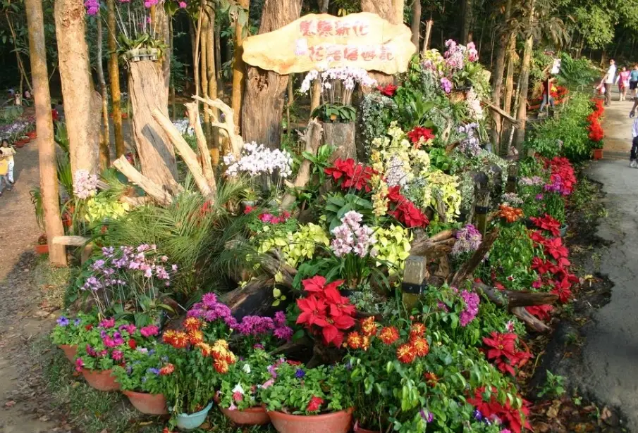 新化景點推薦 新化景點推薦