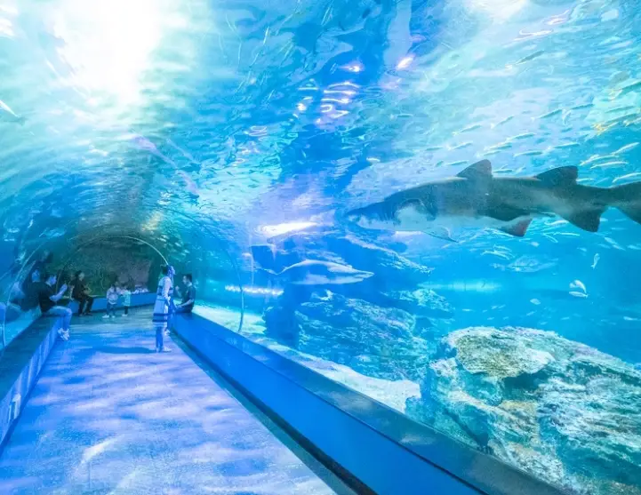 釜山自由行 釜山自由行