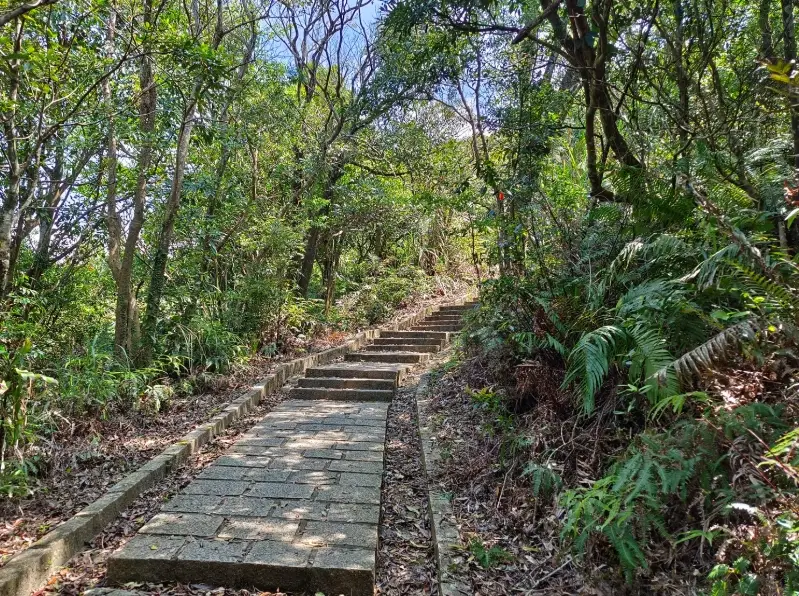 內湖親山步道 內湖親山步道