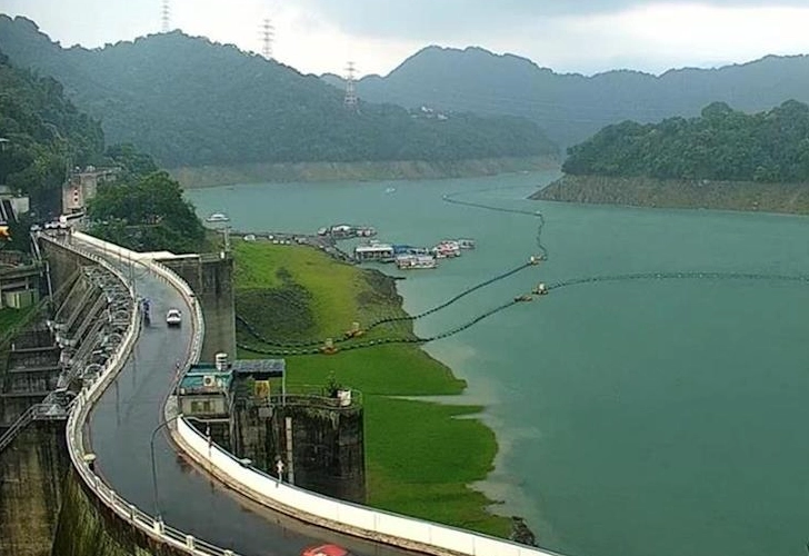 台南落羽松景点