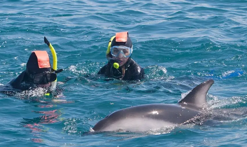 凱庫拉旅遊 凱庫拉旅遊