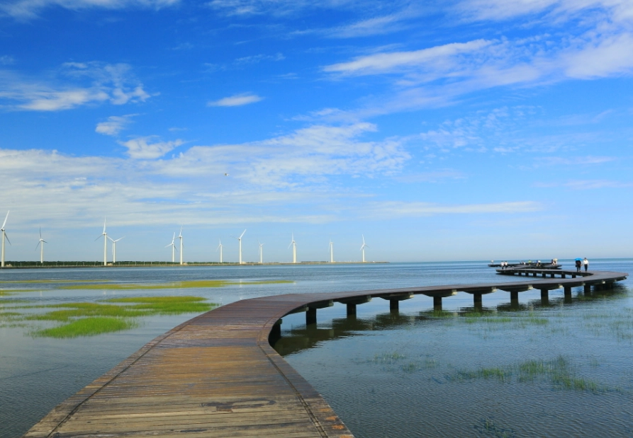 台北一個人散心