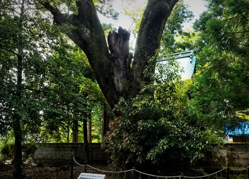 白馬村交通 白馬村交通