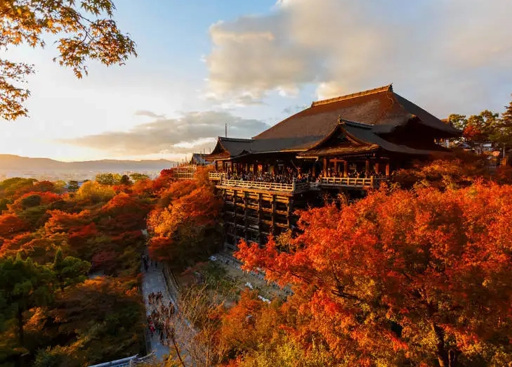 京都賞楓月份指南：避開人潮的賞楓時間與景點推薦