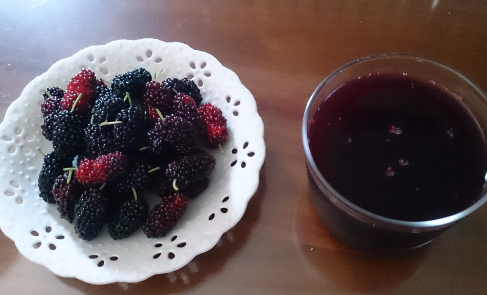 桑椹汁飲用時間 桑椹汁飲用時間