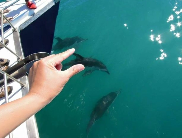 凱庫拉旅遊 凱庫拉旅遊