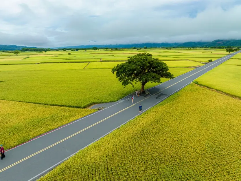 台東旅遊攻略 台東旅遊攻略