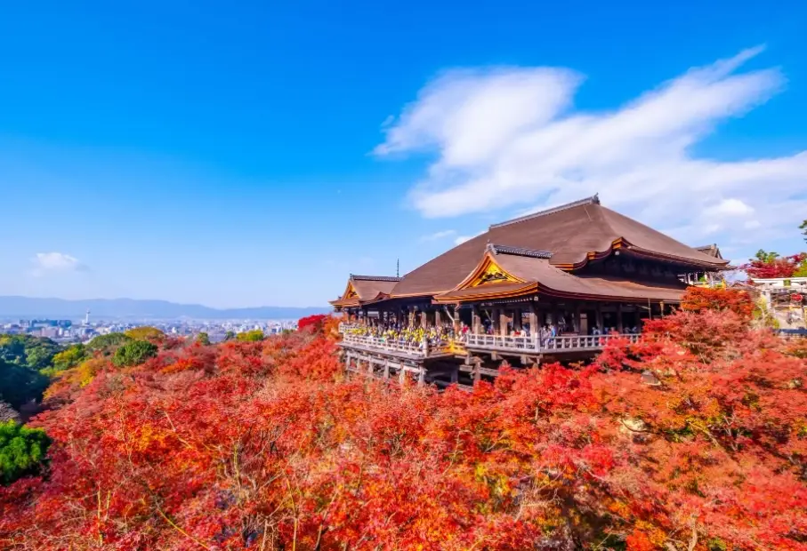 京都賞楓景點