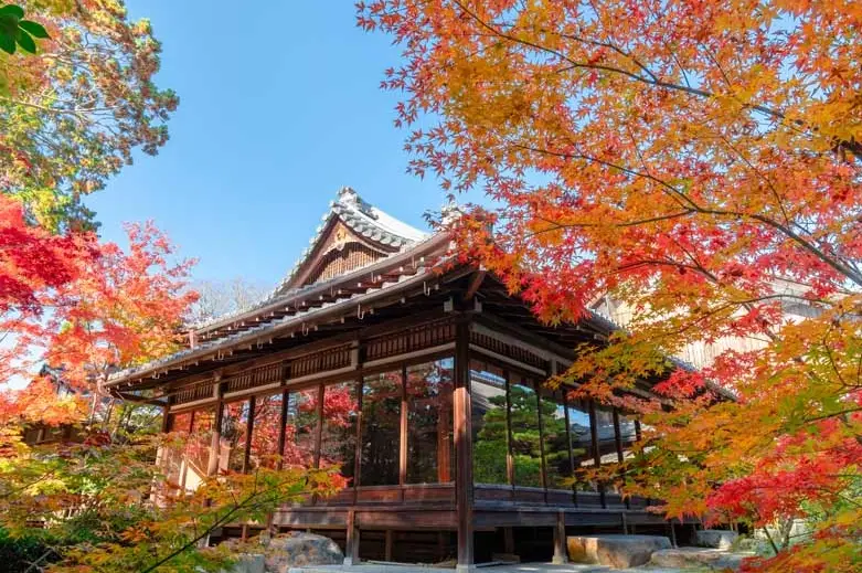 京都賞楓景點 京都賞楓景點