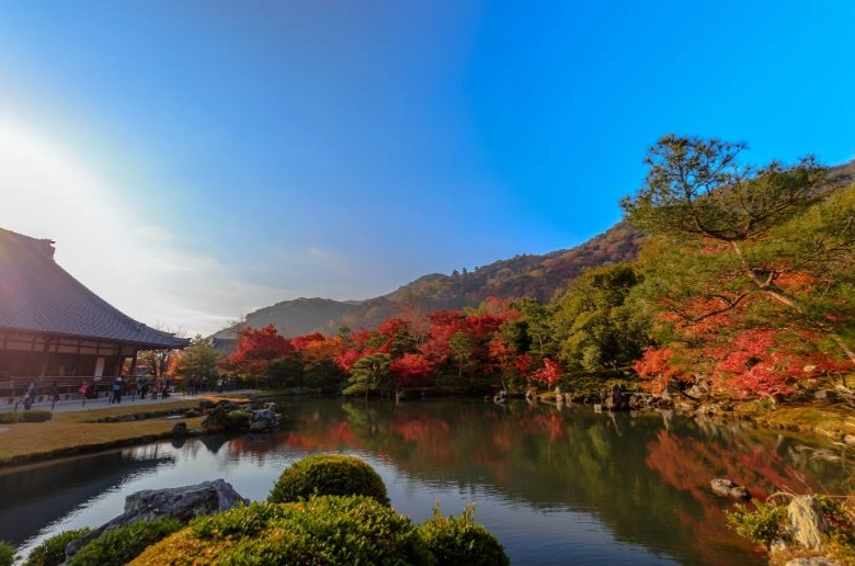 京都賞楓時間 京都賞楓時間