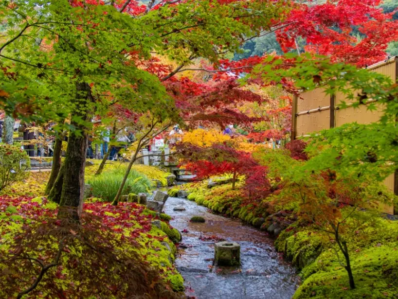 京都賞楓時間 京都賞楓時間