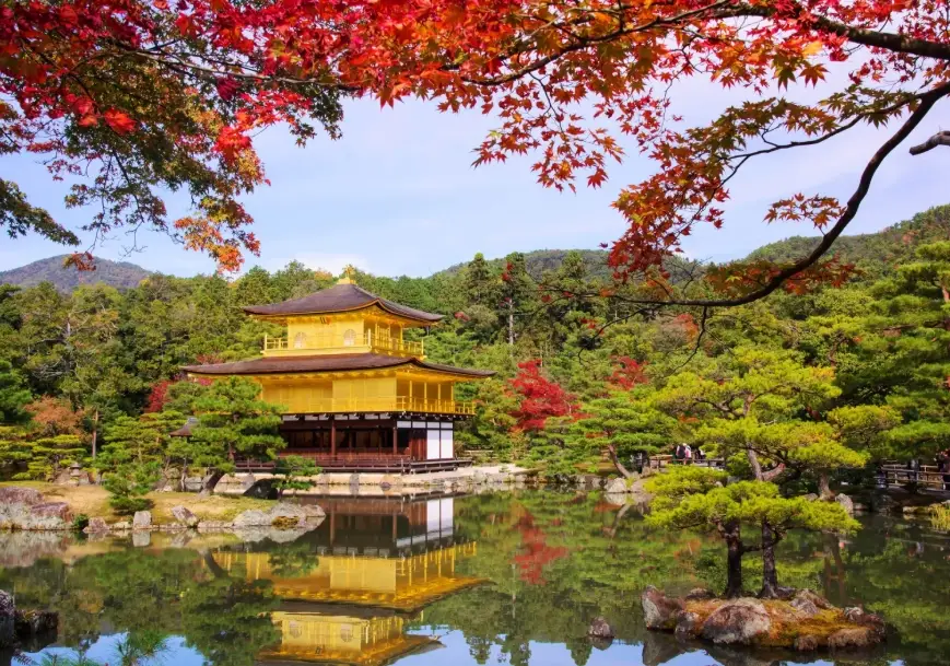 京都賞楓景點 京都賞楓景點