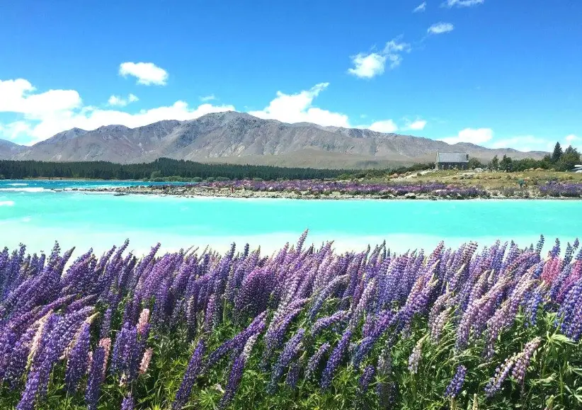 自駕安全注意事項