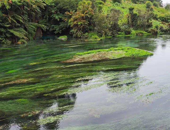 紐西蘭秘境景點 紐西蘭秘境景點