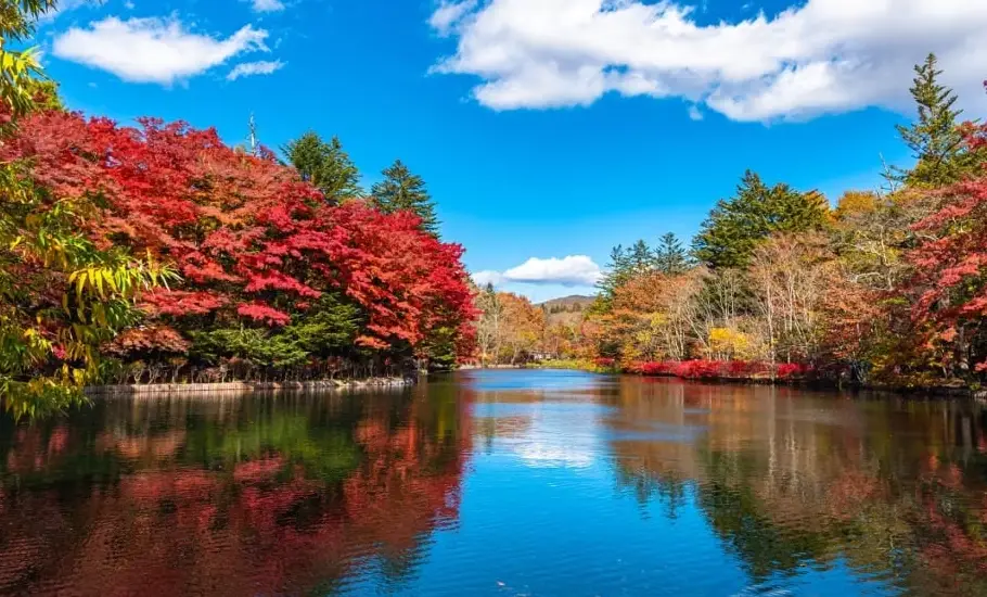 長野 避暑 景點