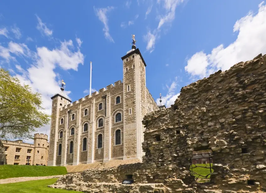 倫敦塔渡鴉 倫敦塔渡鴉