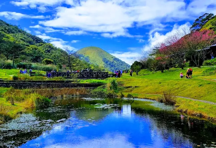 台灣北部賞櫻 台灣北部賞櫻