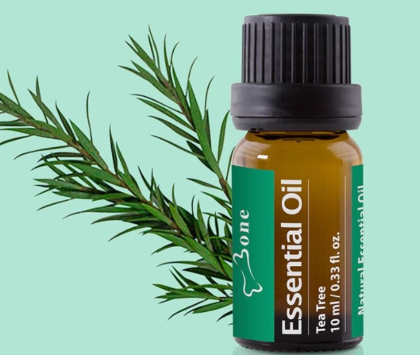 天然睡眠療法 天然睡眠療法