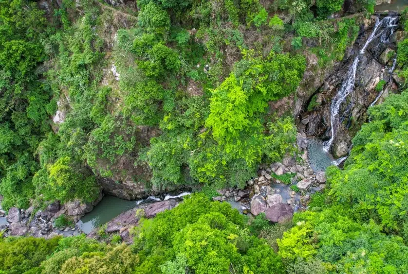溫泉泉質 溫泉泉質