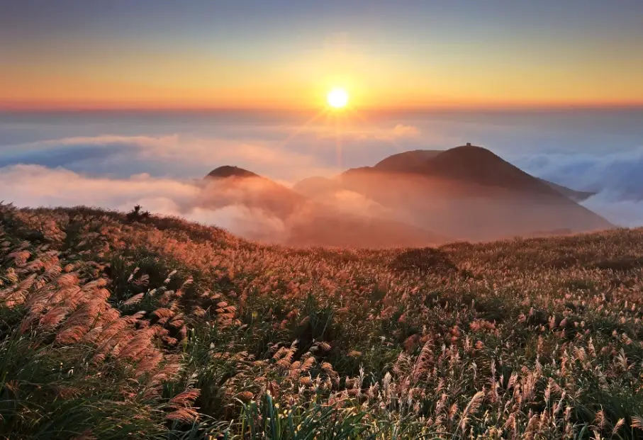 北部賞櫻景點 北部賞櫻景點