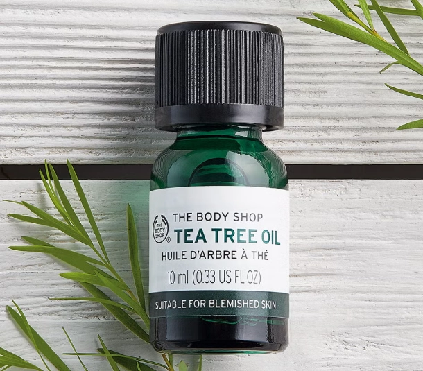 茶樹精油睡眠：改善失眠的自然療法實證分享