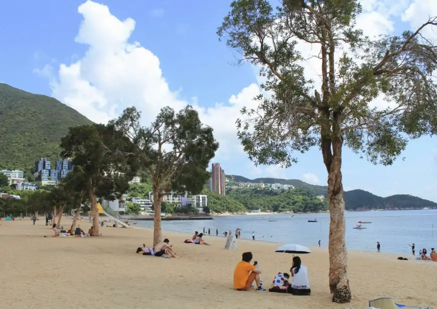 陽明山半日遊開車