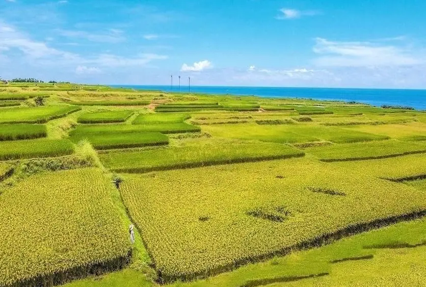 花蓮自駕遊行程