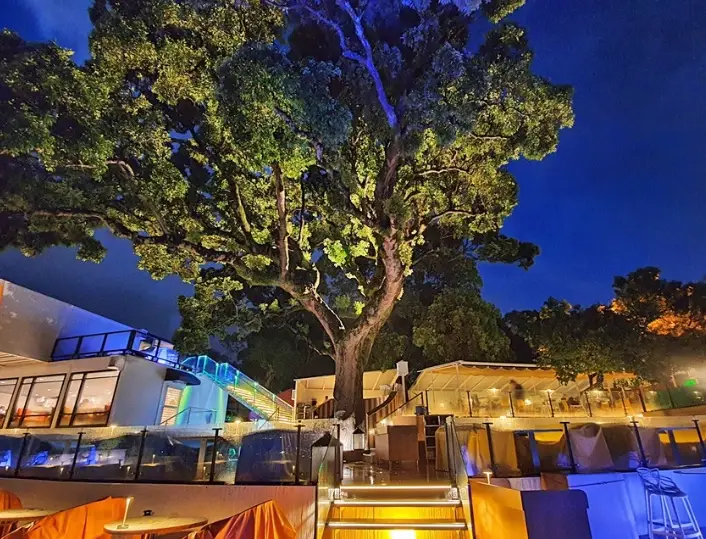 陽明山景觀咖啡廳