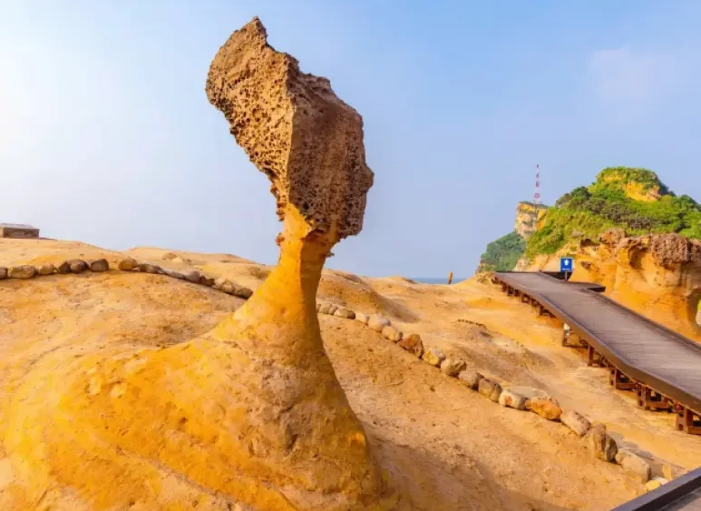 野柳包車 野柳包車