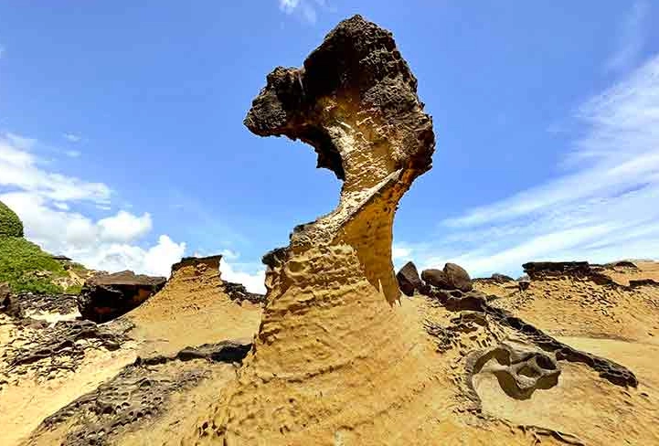 野柳包車 野柳包車