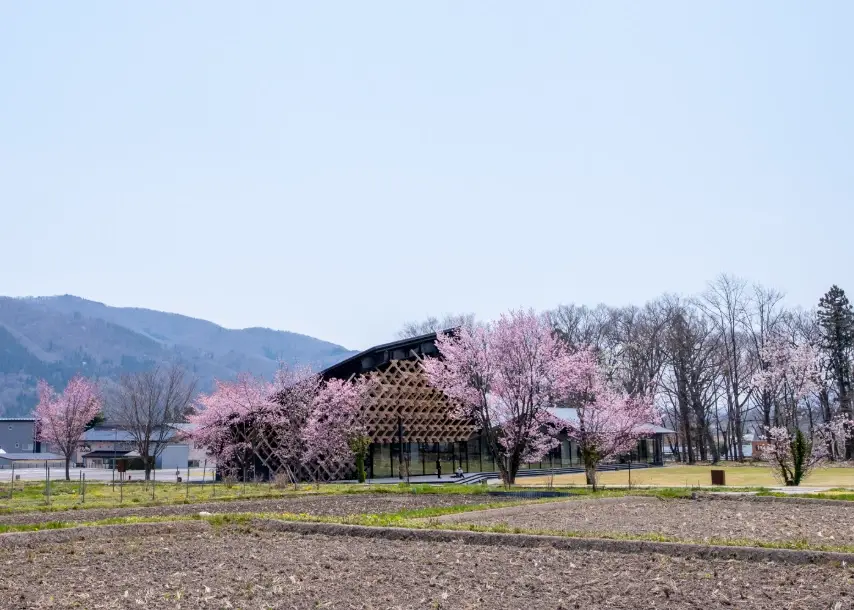 白马芝桜 交通 白马芝桜 交通
