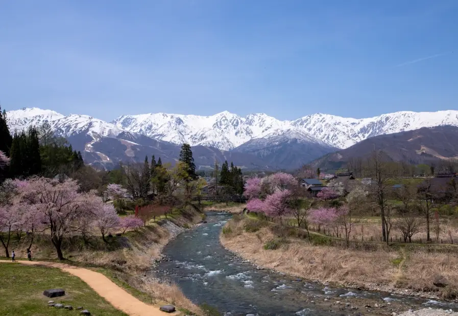白马芝桜 住宿 白马芝桜 住宿
