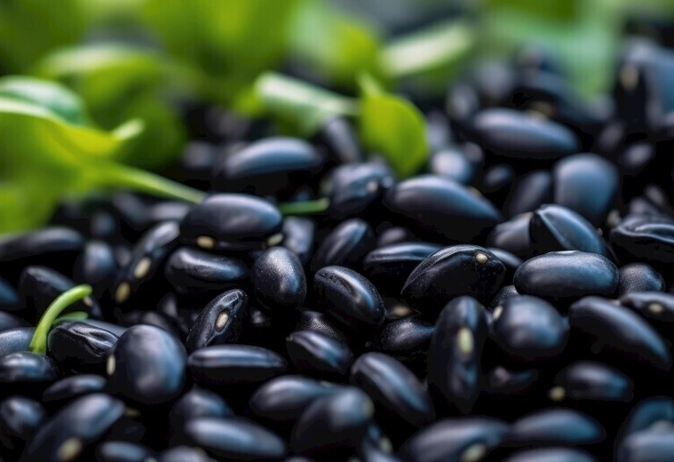 黑豆含鉀量高嗎？攝取鉀的關鍵食物解析
