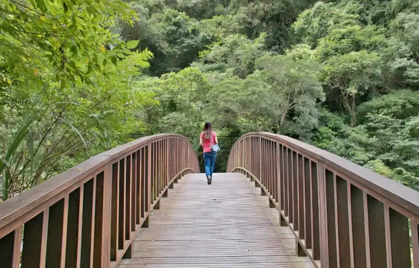 老鷹溪步道 美食