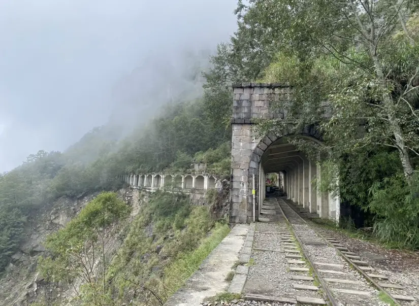 眠月線塔山步道：阿里山秘境鐵道與登山實用指南