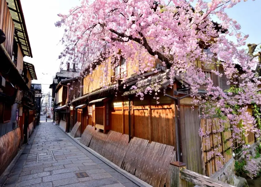 京都自由行行程