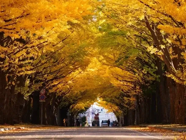 北海道自由行規劃