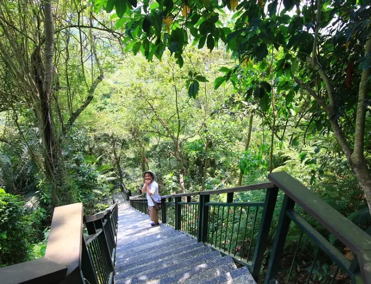 嘉義一日遊景點